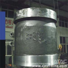 Stainless Steel Flanged Nozzle Check Valve